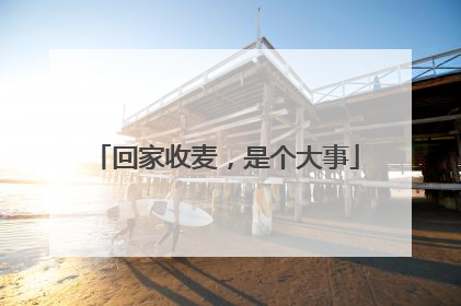 回家收麦，是个大事