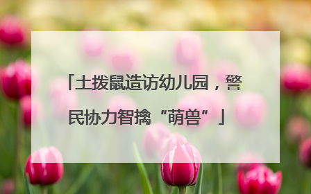 土拨鼠造访幼儿园，警民协力智擒“萌兽”