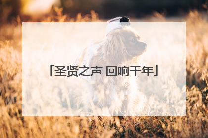 圣贤之声 回响千年
