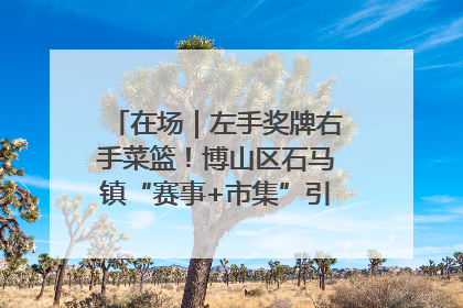 在场｜左手奖牌右手菜篮！博山区石马镇“赛事+市集”引燃周末经济
