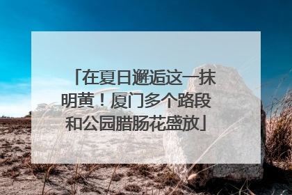 在夏日邂逅这一抹明黄！厦门多个路段和公园腊肠花盛放
