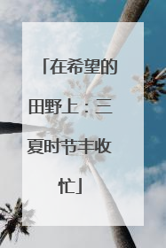 在希望的田野上：三夏时节丰收忙