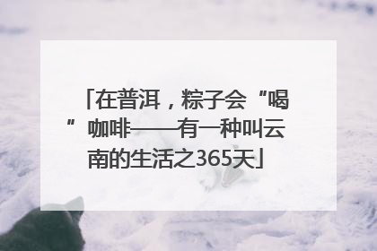 在普洱，粽子会“喝”咖啡——有一种叫云南的生活之365天