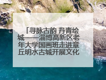 寻脉古韵 丹青绘城——淄博高新区老年大学国画班走进章丘明水古城开展文化研学活动