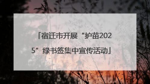 宿迁市开展“护苗2025”绿书签集中宣传活动