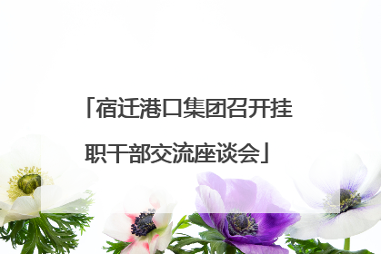 宿迁港口集团召开挂职干部交流座谈会