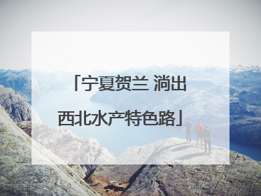 宁夏贺兰 淌出西北水产特色路