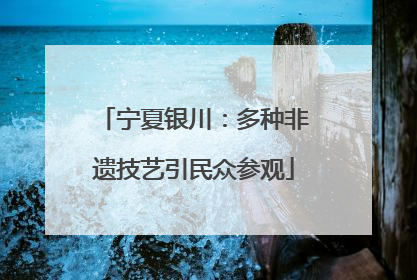 宁夏银川：多种非遗技艺引民众参观