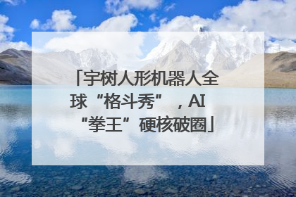 宇树人形机器人全球“格斗秀”，AI“拳王”硬核破圈