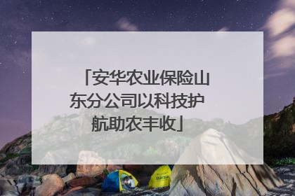 安华农业保险山东分公司以科技护航助农丰收