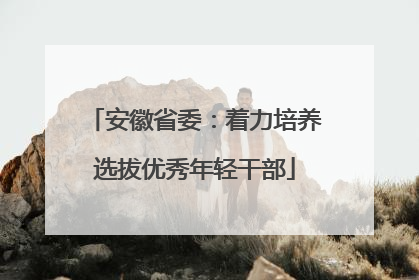 安徽省委：着力培养选拔优秀年轻干部