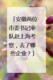 安徽两位市委书记率队赴上海考察，去了哪些企业？