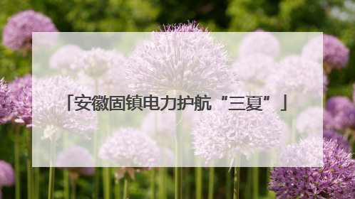 安徽固镇电力护航“三夏”