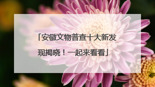 安徽文物普查十大新发现揭晓！一起来看看