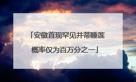 安徽首现罕见并蒂睡莲 概率仅为百万分之一