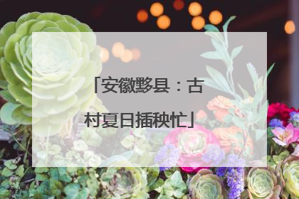 安徽黟县：古村夏日插秧忙