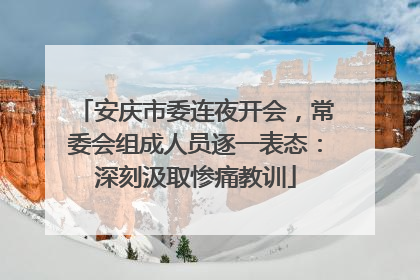 安庆市委连夜开会，常委会组成人员逐一表态：深刻汲取惨痛教训