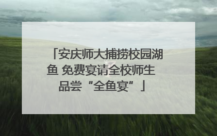 安庆师大捕捞校园湖鱼 免费宴请全校师生品尝“全鱼宴”