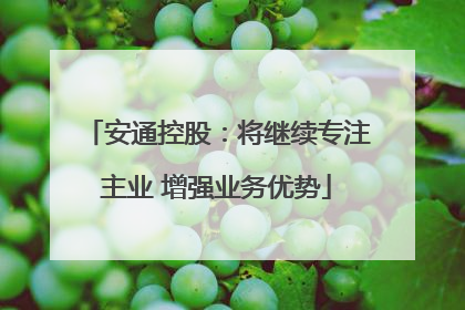 安通控股：将继续专注主业 增强业务优势