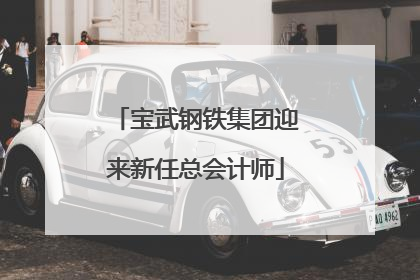 宝武钢铁集团迎来新任总会计师