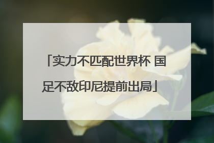 实力不匹配世界杯 国足不敌印尼提前出局