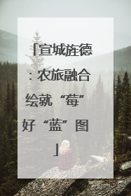 宣城旌德：农旅融合绘就“莓”好“蓝”图