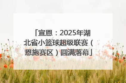 宣恩：2025年湖北省小篮球超级联赛（恩施赛区）圆满落幕