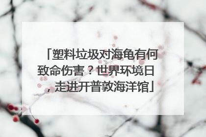 塑料垃圾对海龟有何致命伤害？世界环境日，走进开普敦海洋馆