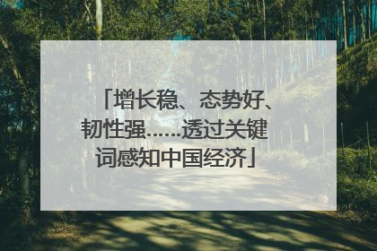 增长稳、态势好、韧性强……透过关键词感知中国经济