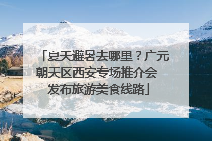 夏天避暑去哪里？广元朝天区西安专场推介会 发布旅游美食线路
