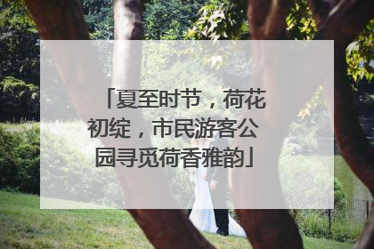 夏至时节，荷花初绽，市民游客公园寻觅荷香雅韵