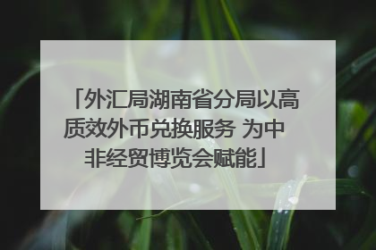 外汇局湖南省分局以高质效外币兑换服务 为中非经贸博览会赋能