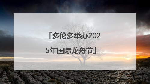 多伦多举办2025年国际龙舟节