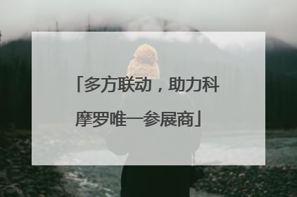 多方联动，助力科摩罗唯一参展商