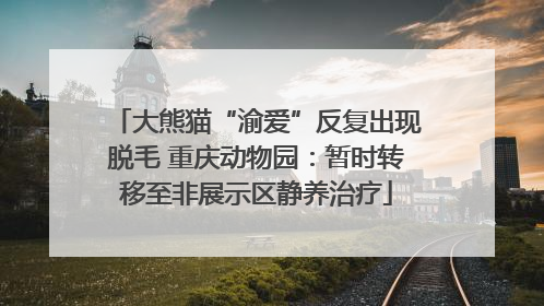 大熊猫“渝爱”反复出现脱毛 重庆动物园：暂时转移至非展示区静养治疗
