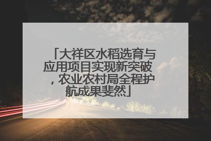 大祥区水稻选育与应用项目实现新突破，农业农村局全程护航成果斐然