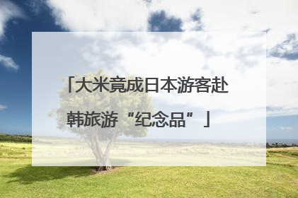 大米竟成日本游客赴韩旅游“纪念品”