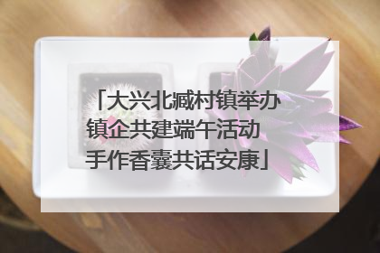 大兴北臧村镇举办镇企共建端午活动 手作香囊共话安康