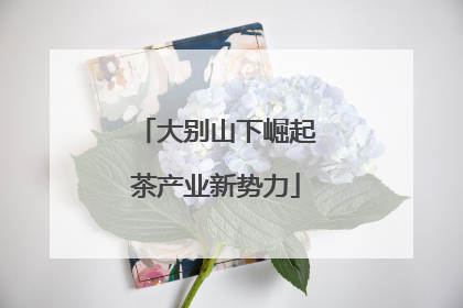 大别山下崛起茶产业新势力
