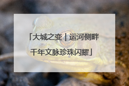 大城之变｜运河侧畔 千年文脉珍珠闪耀