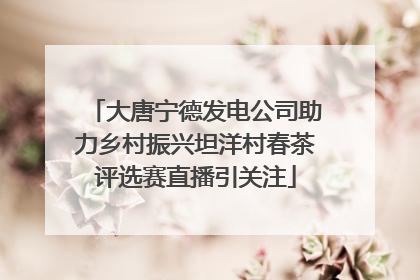 大唐宁德发电公司助力乡村振兴坦洋村春茶评选赛直播引关注