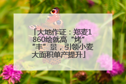 大地作证：郑麦1860绘就高“烤”“丰”景，引领小麦大面积单产提升
