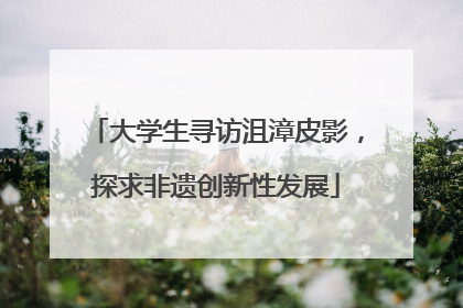 大学生寻访沮漳皮影，探求非遗创新性发展