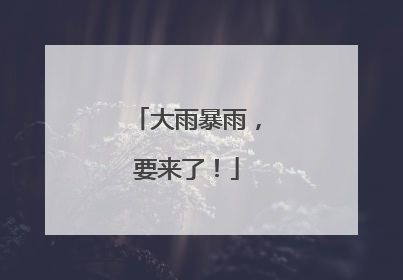 大雨暴雨，要来了！