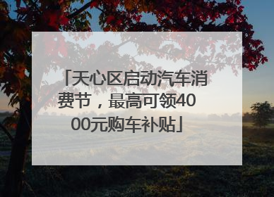 天心区启动汽车消费节，最高可领4000元购车补贴
