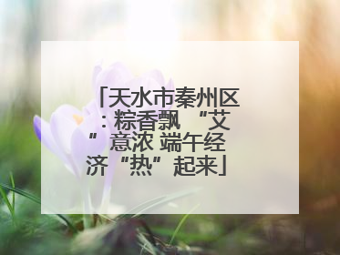 天水市秦州区：粽香飘 “艾”意浓 端午经济“热”起来
