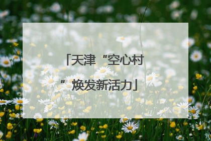 天津“空心村”焕发新活力