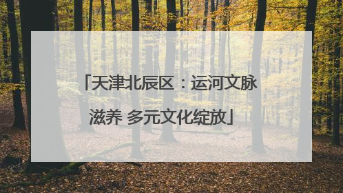 天津北辰区：运河文脉滋养 多元文化绽放