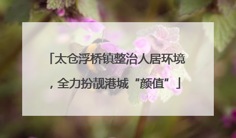 太仓浮桥镇整治人居环境，全力扮靓港城“颜值”