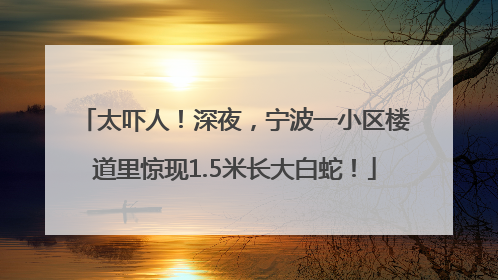 太吓人！深夜，宁波一小区楼道里惊现1.5米长大白蛇！